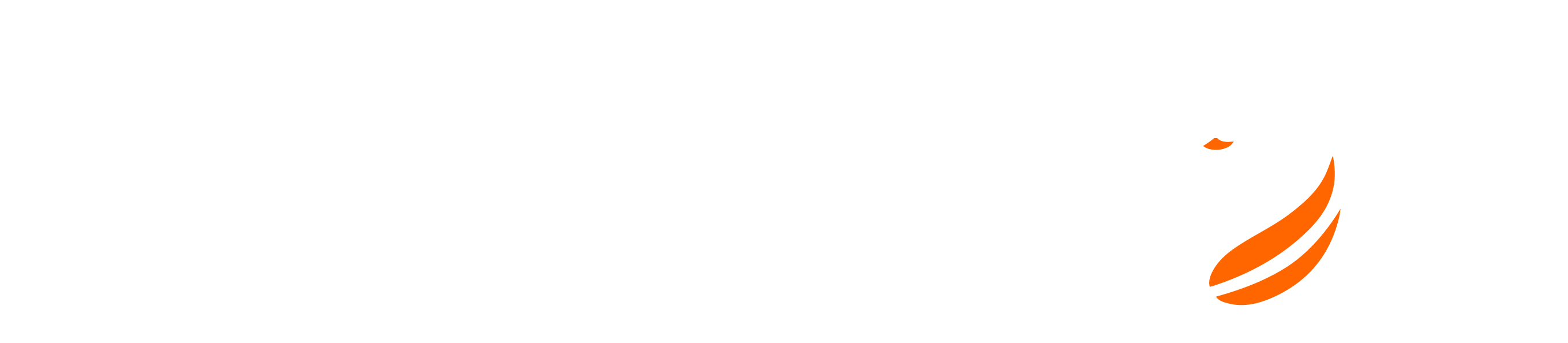 MBSwan
